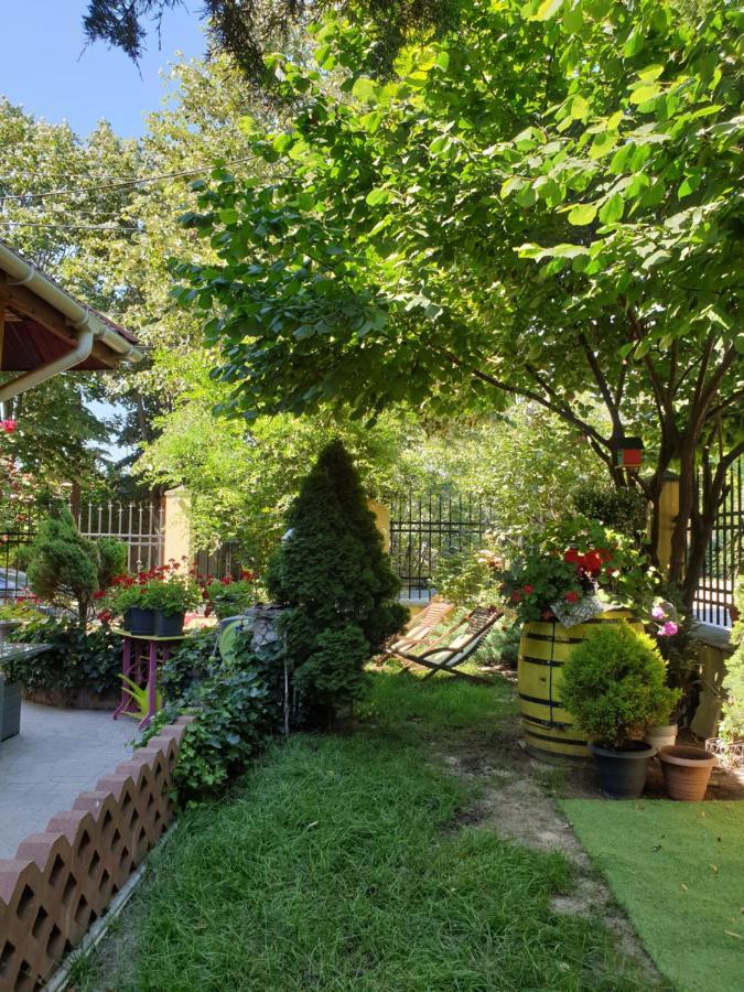 Apartmán Casa Alessia Eforie Sud  Exteriér fotografie